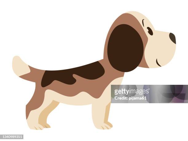 cute dog smiling - animal nose stock illustrations