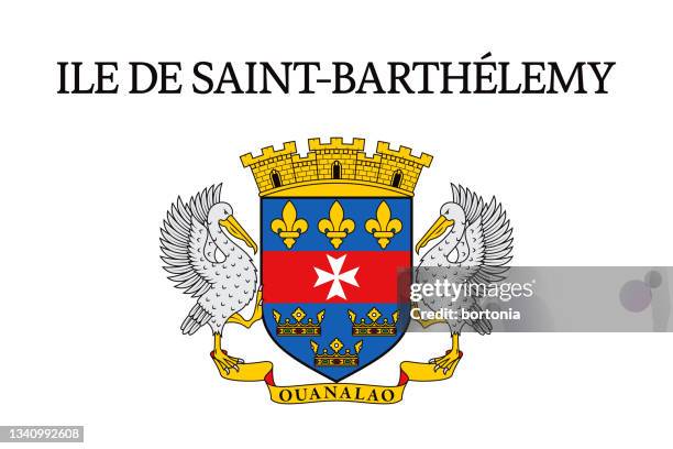 saint barthélemy flag - pelikan stock-grafiken, -clipart, -cartoons und -symbole