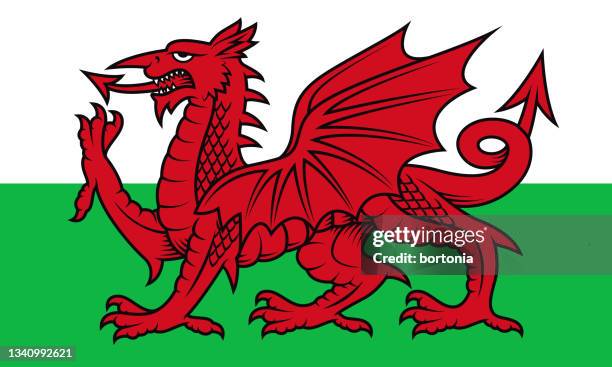 stockillustraties, clipart, cartoons en iconen met wales flag - prince charles prince of wales