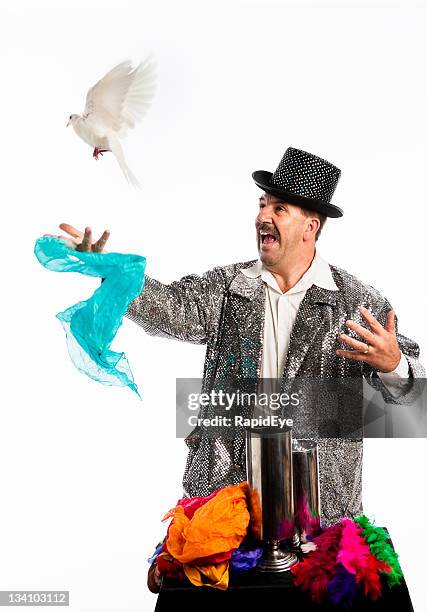 zauberer legeren dove - zirkus stock-fotos und bilder