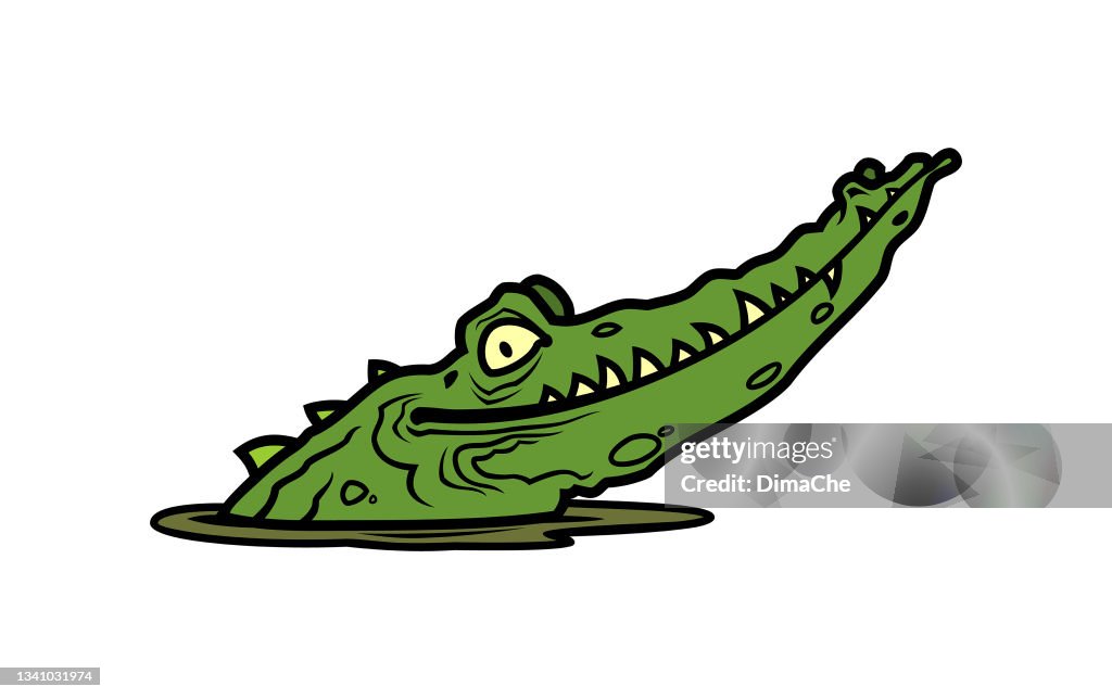 Alligator Head Sticking Out Of Water High-Res Vector Graphic - Getty Images