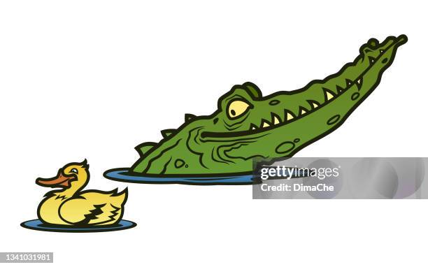 stockillustraties, clipart, cartoons en iconen met alligator and duck - flasche