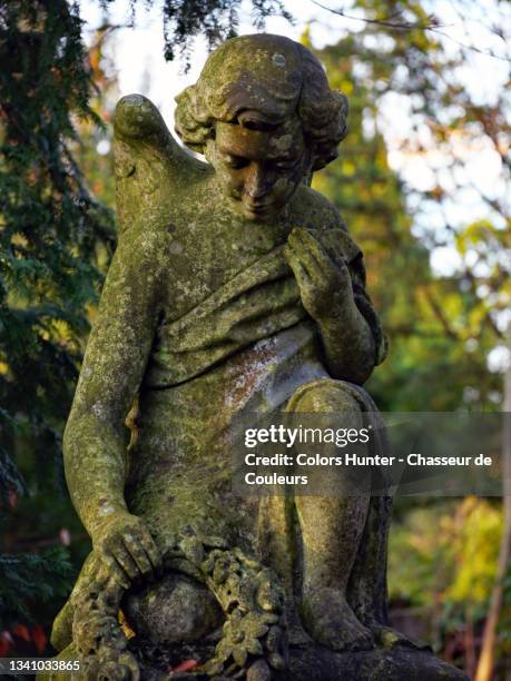 Defunct Angels Sad Angel Statue Photos and Premium High Res Pictures - Getty Images