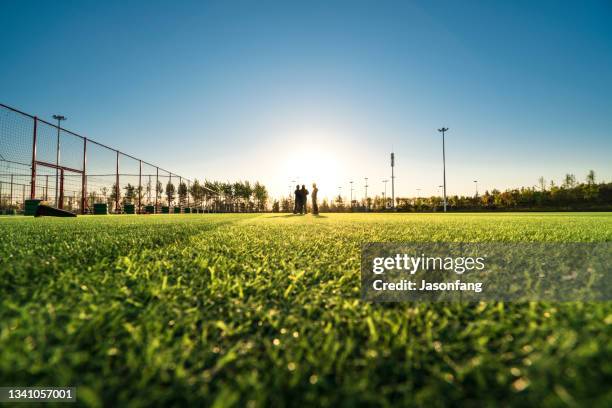 playing field - low angle view grass stock pictures, royalty-free photos & images