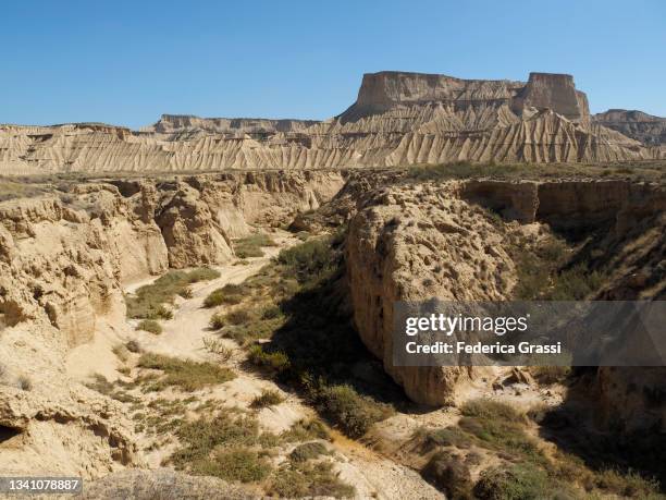 view of the badlands along barranco de los cambrones at bardenas reales world biosphere reserve, navarra, spain. - bardenas photos et images de collection