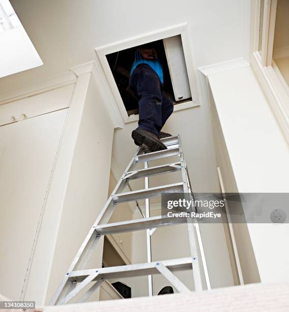 man disappearing into attic up aluminum stepladder - step ladder stock pictures, royalty-free photos & images