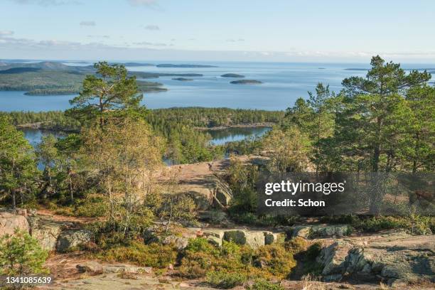 view from slåttdalsberget in the high coast in sunlight in autumn - höga kusten bildbanksfoton och bilder