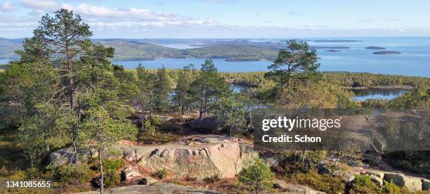 view from slåttdalsberget in the high coast in sunlight in autumn - höga kusten bildbanksfoton och bilder