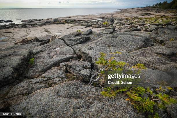 rock formations by the sea in rotsidan nature reserve in the high coast in daylight - höga kusten bildbanksfoton och bilder