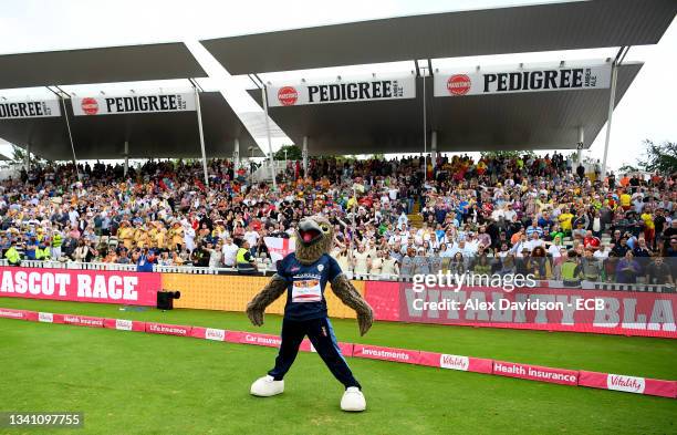 Derbyshire's Freddie the Falcon wins the Mascot race ahead of the Vitality Blast Semi-Final match between Kent Spitfires and Sussex Sharks at...