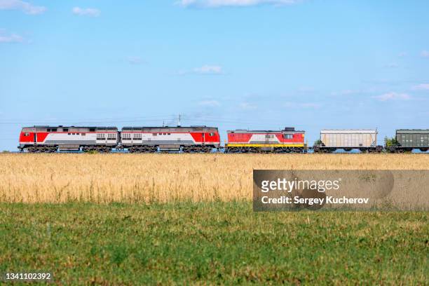 powerful diesel locomotive moves past a wheat field - vagone foto e immagini stock