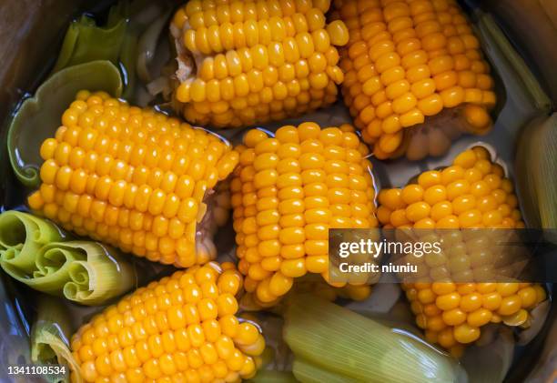 sweet-corn - corn cob stock pictures, royalty-free photos & images