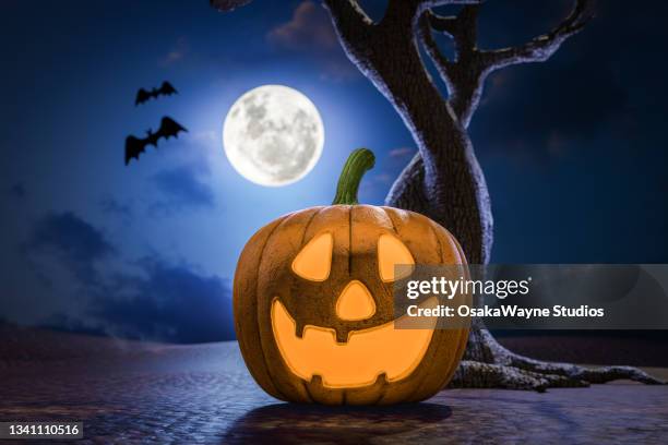 smiling carved pumpkin, dry tree at full moon night, illuminated jack 'o lantern - jack o lantern stock-fotos und bilder