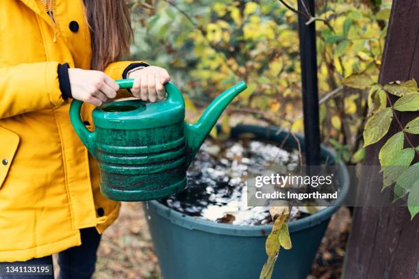 teenage girl filling the water can from the rainwater tank - rainwater tank stock pictures, royalty-free photos & images