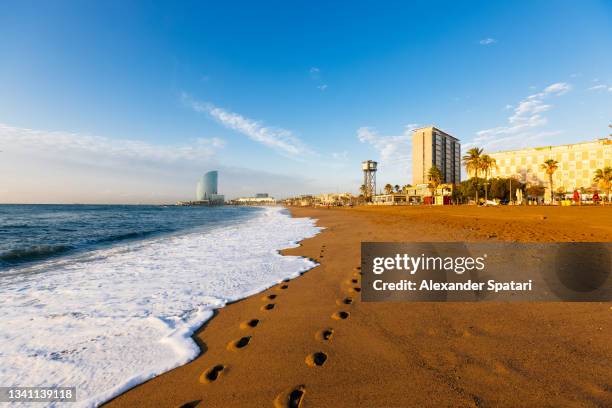 barceloneta beach on a sunny morning, barcelona, catalonia, spain - comunidad autónoma de cataluña 個照片及圖片檔