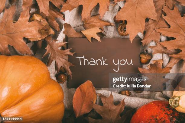 742 Thanksgiving Thank You Stock Photos, High-Res Pictures, and