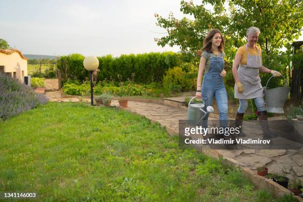 a granddaughter assisting her grandmother during a weekend visit - holding watering can stock pictures, royalty-free photos & images
