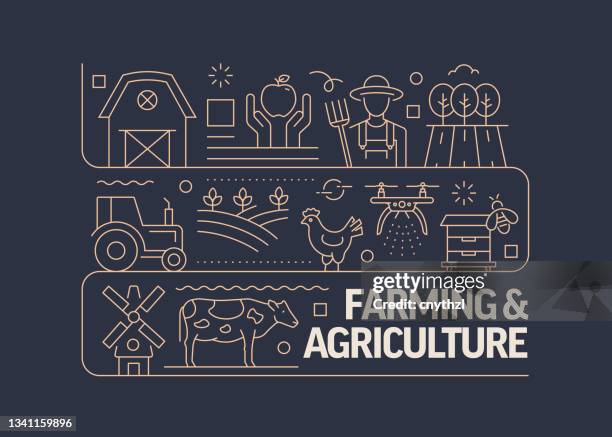 landwirtschaft und landwirtschaft verwandte vektor banner design konzept, moderner linienstil mit icons - heugabel stock-grafiken, -clipart, -cartoons und -symbole