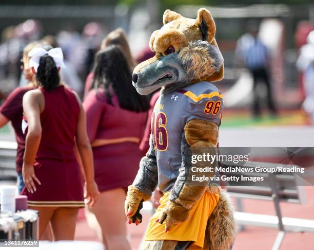 College Point Wolves Alvernia College Photos and Premium High Res Pictures - Getty Images