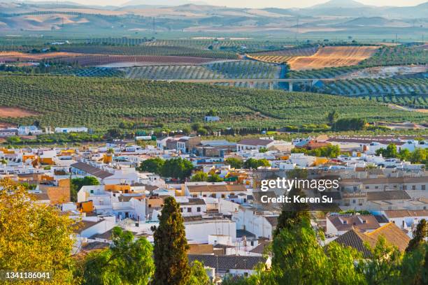 town of osuna with olive farm - osuna photos et images de collection