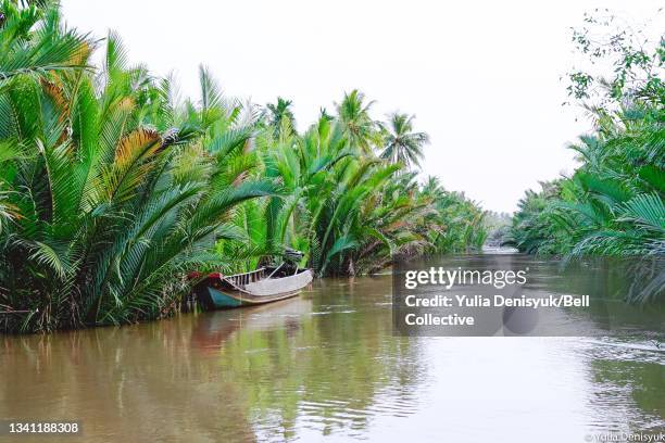 a traditional boat is anchored on a side of a  palm-shaded tributary on the mekong river delta, vietnam - mekong fotografías e imágenes de stock