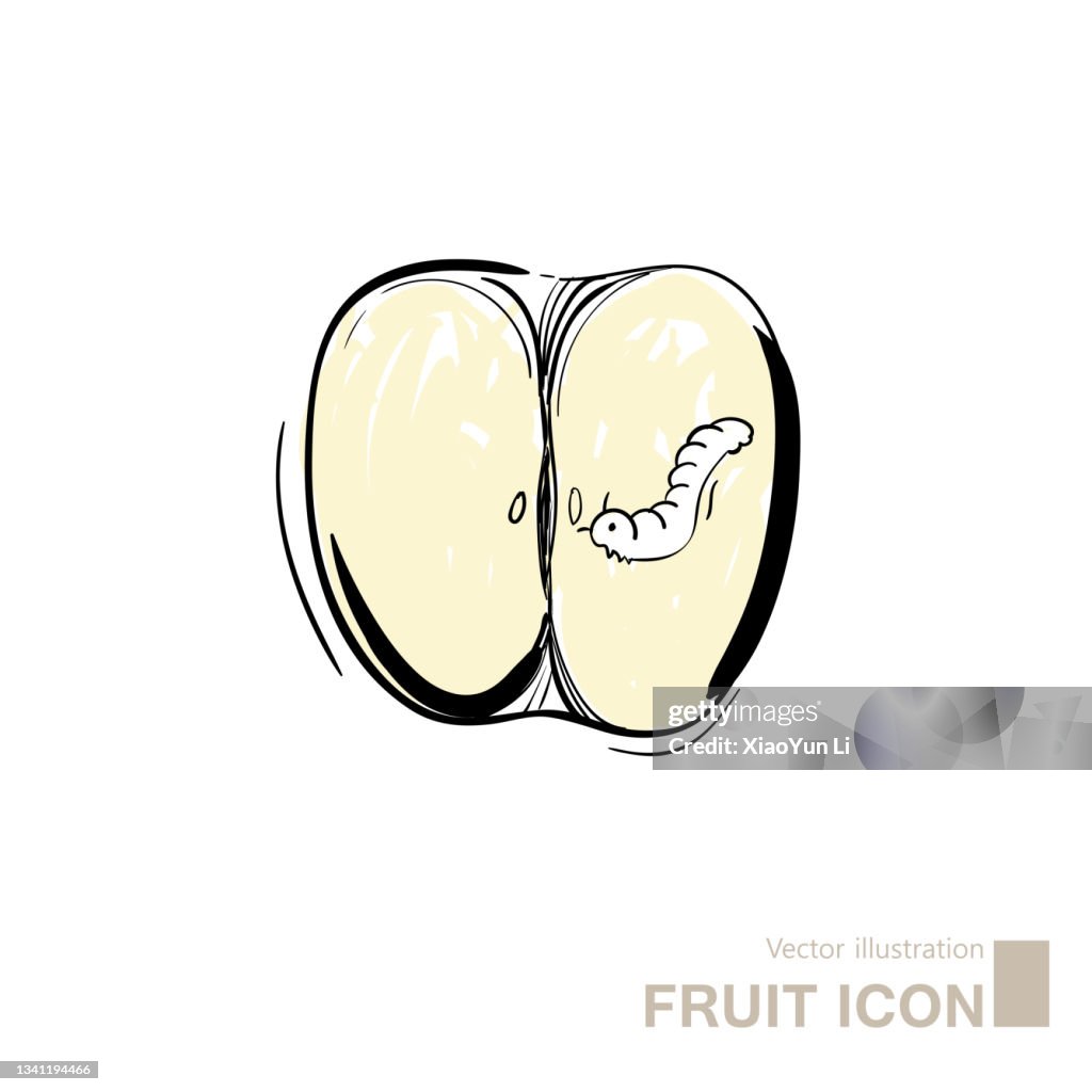Vector drawing of part apple.