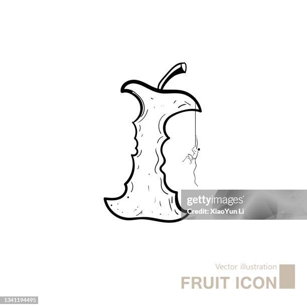 vector drawing of part apple. - core icon stock illustrations