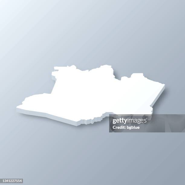 amazonas 3d map on gray background - manaus stock illustrations