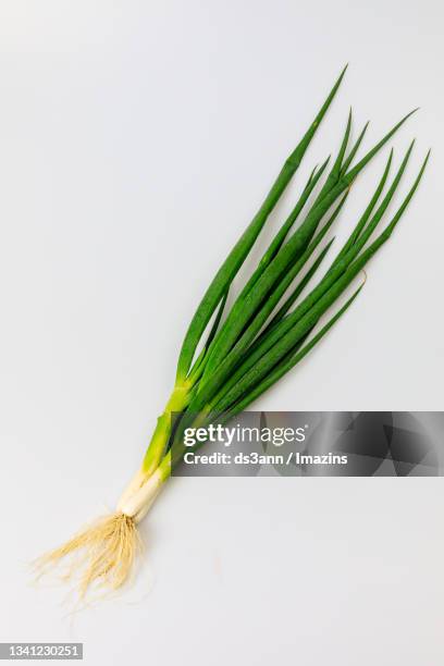 large green onion - ciboule photos et images de collection