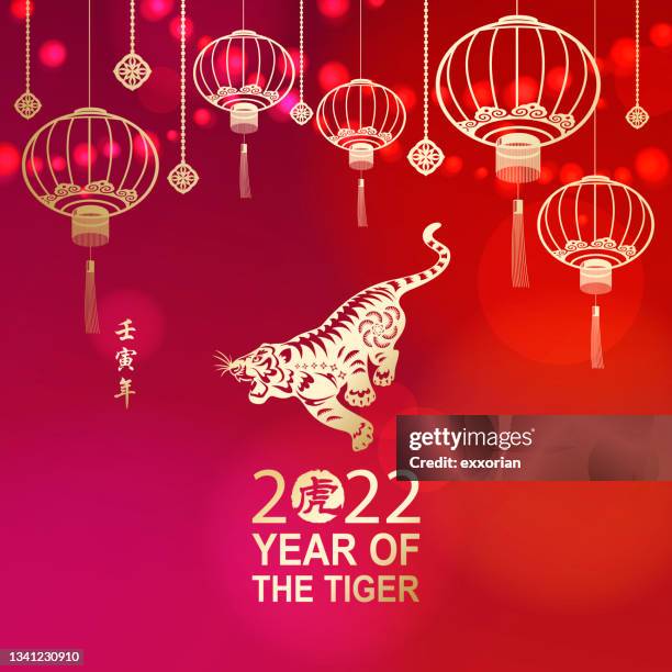 feiern sie das chinesische neujahr mit tiger 01 - chinese new year vector stock-grafiken, -clipart, -cartoons und -symbole