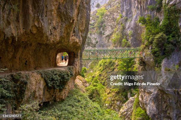 ruta del cares (the cares trail) in the picos de europa national park, asturias, spain. - principado de asturias bildbanksfoton och bilder