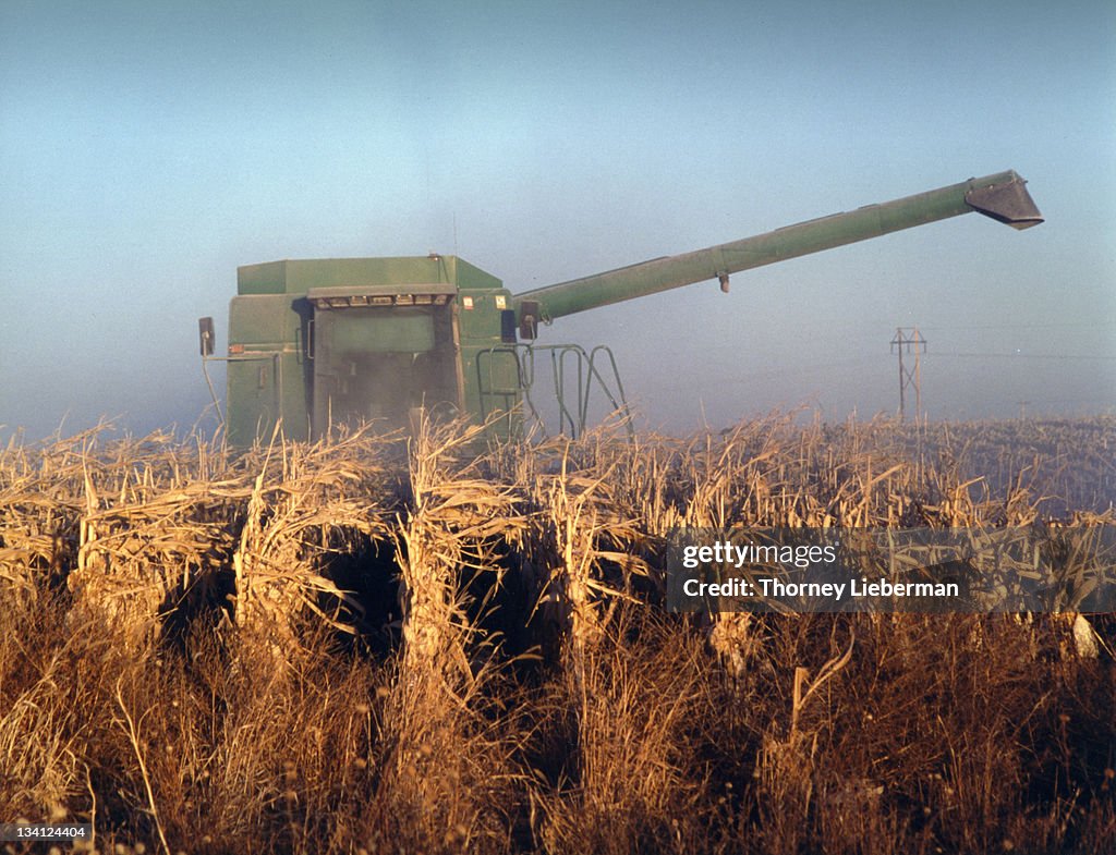 Harvest