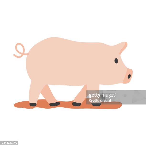 415点の子豚イラスト素材 Getty Images 415点の子豚イラスト素材 Getty Images