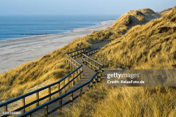 holzpromenade über sanddünen an der küste der insel sylt, deutsche nordseeregion - beach dunes stock-fotos und bilder