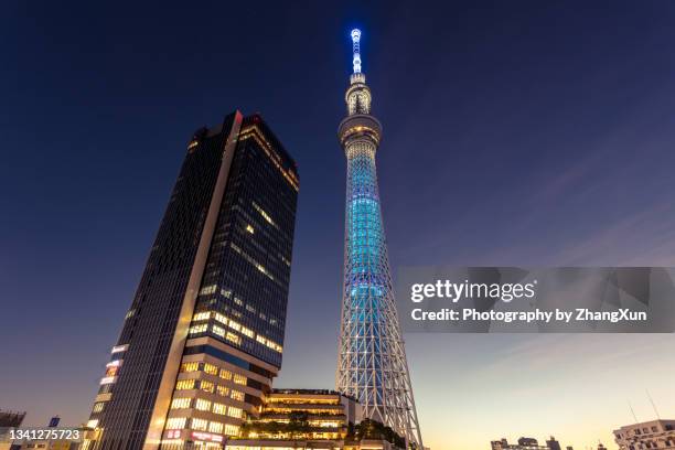 tokyo skyline of skytree illuminated low angle view, sumida ward, japan at night. - tokyo skytree stock pictures, royalty-free photos & images