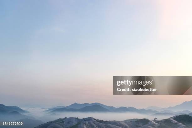 Natural Ridges View Point Forest Ridges Photos and Premium High Res Pictures - Getty Images