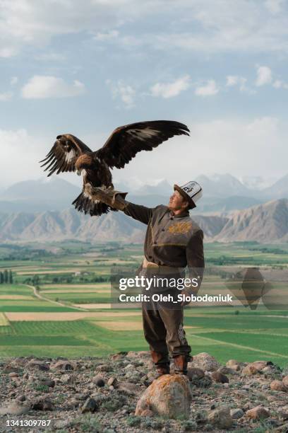 eagle hunter standing on the background of mountains  in kyrgyzstan - águia serrana imagens e fotografias de stock