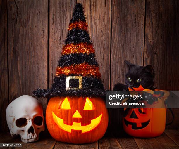 black cat with pumpkin as a symbol of halloween - witch hat stock pictures, royalty-free photos & images