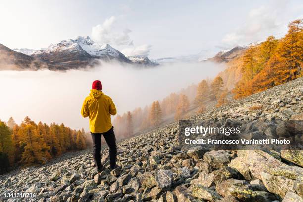 man hiking in autumn, engadin, switzerland. - cantón de los grisones fotografías e imágenes de stock