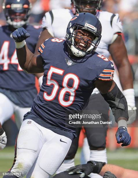 Roquan Smith of the Chicago Bears celebrates after a sack against Joe Burrows of the Cincinnati Bengals at Soldier Field on September 19, 2021 in...