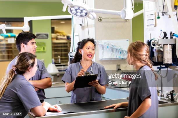 réunion du personnel multiracial de l’hôpital pour animaux - vétérinaire photos et images de collection