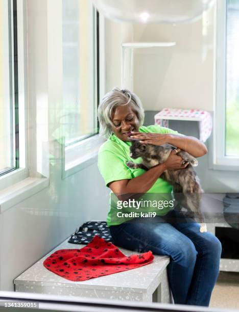 senior african-american woman at animal shelter with cat - red pants stockfoto's en -beelden