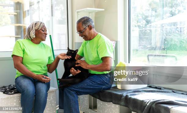 senior black couple volunteer at pet rescue, with cat - humane society stock pictures, royalty-free photos & images