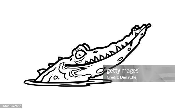 stockillustraties, clipart, cartoons en iconen met alligator head sticking out of water - flasche