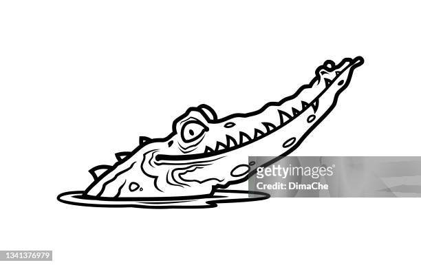 ilustrações de stock, clip art, desenhos animados e ícones de alligator head sticking out of water - crocodilo