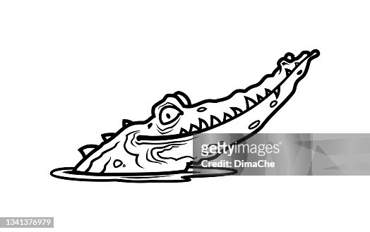 487 Crocodile Cartoon Photos and Premium High Res Pictures - Getty Images