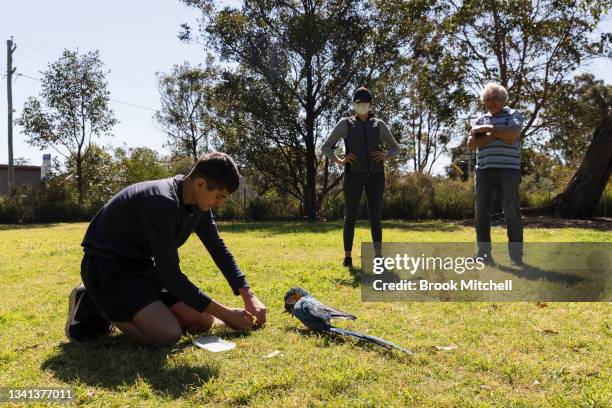 Lucas Gittany trains his one year old Blue and Gold Macaw named Thor as mum Maria and grandfather Fahad look on in Parramatta on September 20, 2021...