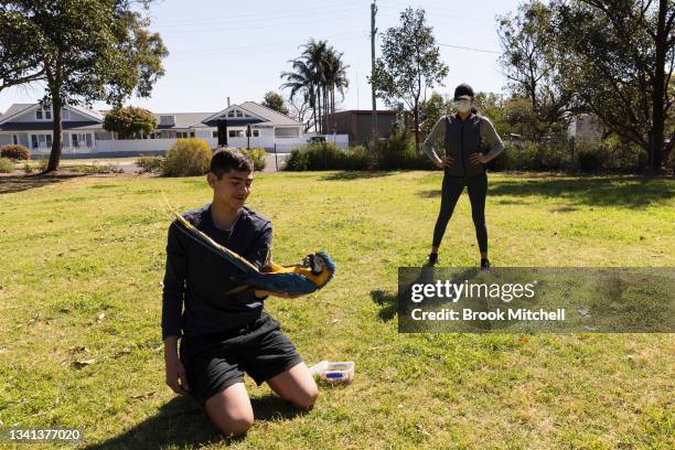 Lucas Gittany trains his one year old Blue and Gold Macaw named Thor as mum Maria looks on in Parramatta on September 20, 2021 in Sydney, Australia....