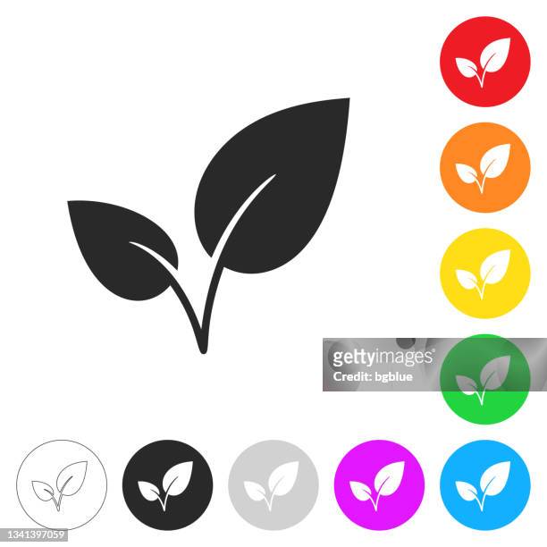 leaves. flat icons on buttons in different colors - sprout stock illustrations