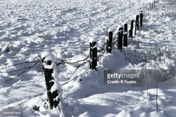 barbed wire fence with snow - black and white photo - gulag stock pictures, royalty-free photos & images